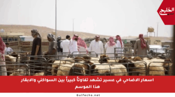 أسعار الأضاحي في عسير تشهد تفاوتاً كبيراً بين السواكني والأبقار هذا الموسم